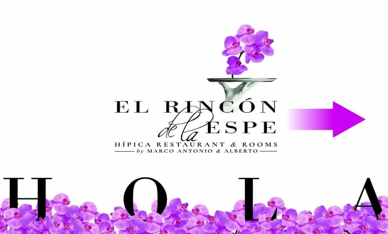 El Rincon De La Espe Ξενοδοχείο Albalate De Zorita Εξωτερικό φωτογραφία